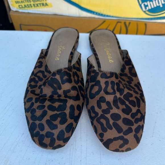 Matisse Leopard Print Women's Mules - Picture 1 of 5